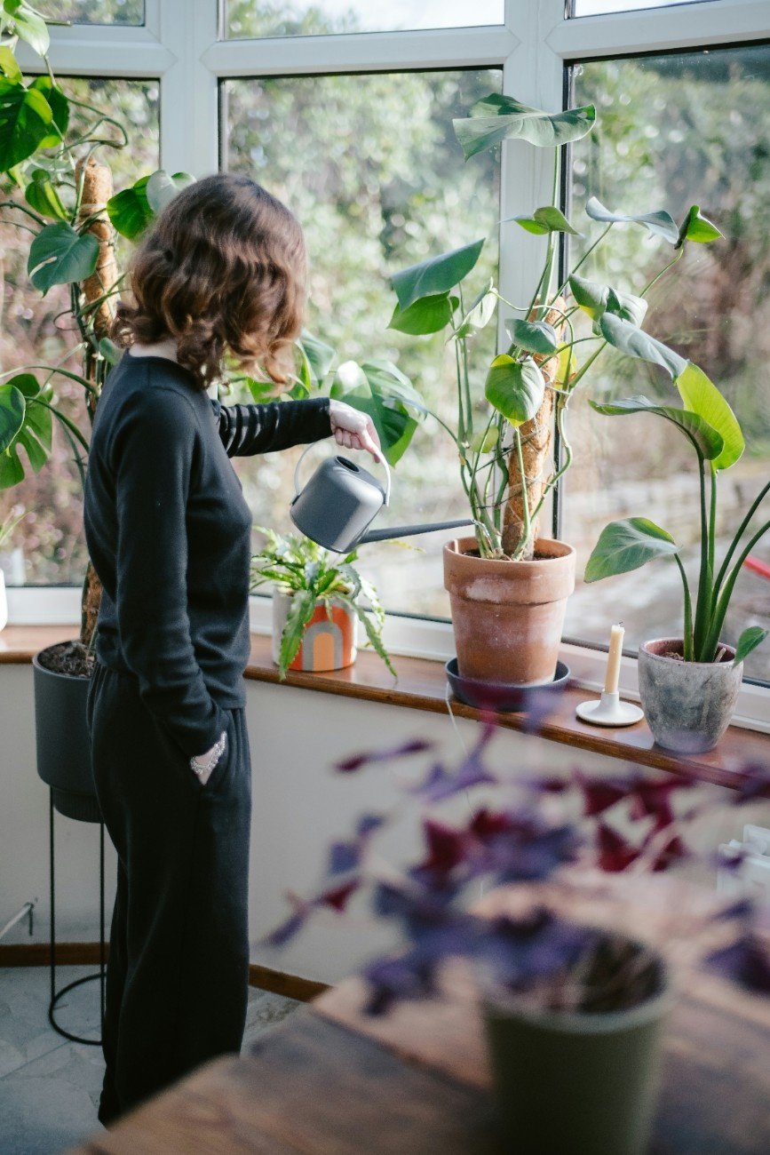 Woman watering houseplants with sunlight on her face.